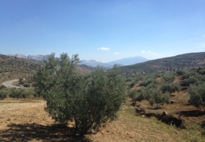 Terra a Colmenar, Malaga, Colmenar - € 125.000 | Ref: ID3913 - foto 1
