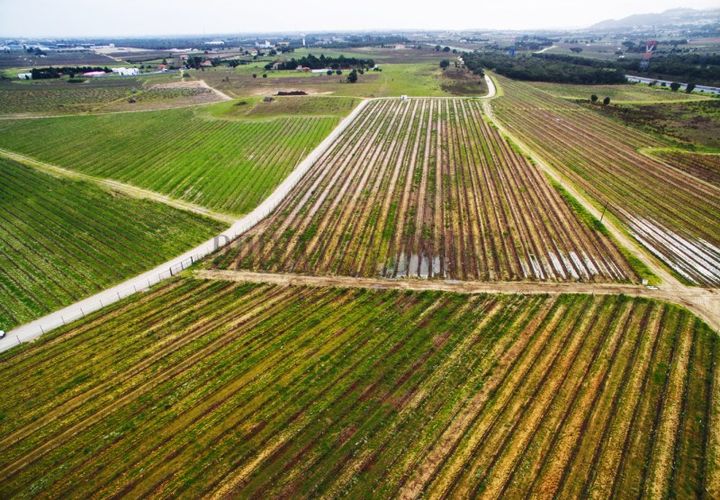 Farm i Palmela, Setubal, Palmela - € 4.500.000 | Ref: 7652 - foto 1