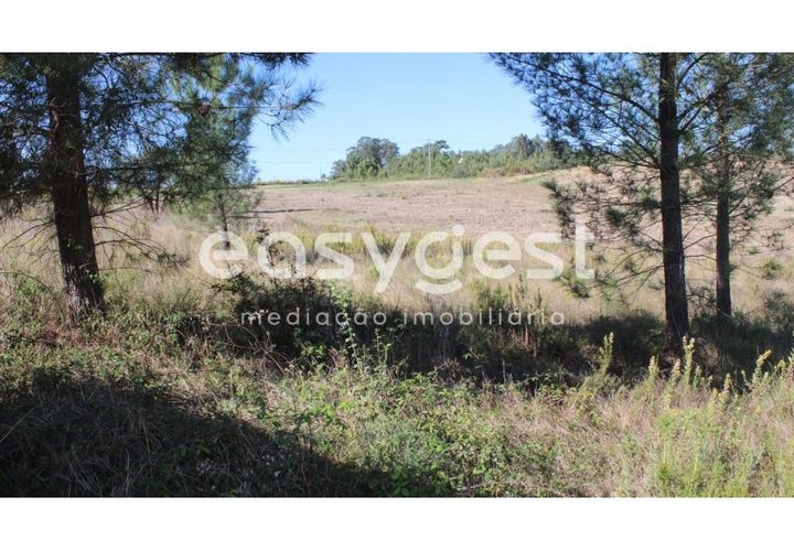 Helårsgrund i Tomar, Santarem, Tomar - € 29.900 | Ref: TM85457 - foto 1