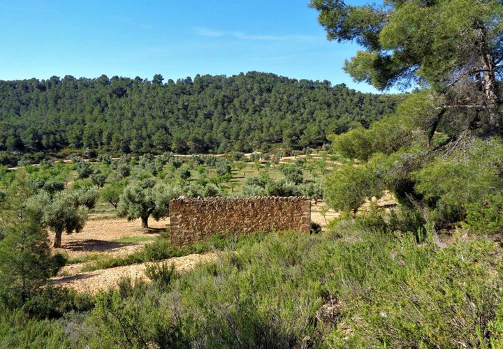 Finca i Maella, Zaragoza, Maella - € 21.000 | Ref: 0727 - foto 1