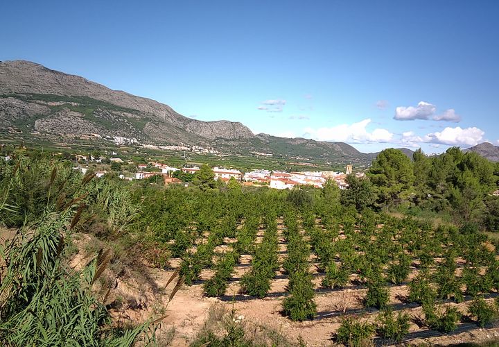 Helårsgrund i Orba, Alicante, Orba - € 200.000 | Ref: 00879 - foto 1