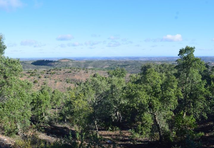 Terra a Almodovar, Beja, Almodovar - € 625.000 | Ref: SÒL_49112 - foto 1