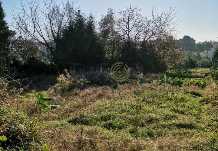 Tomt i Grijo, Porto, Grijo - € 85 000 | Ref: AMP324 - foto 1