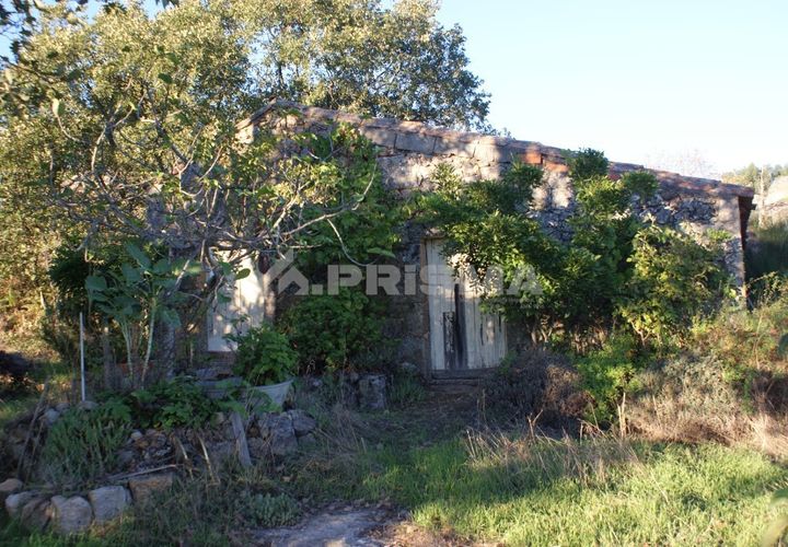 Terra a Penamacor, Castelo Branco, Penamacor - € 65.000 | Ref: PP3769 - foto 1