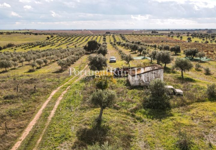 Terra a Mourao, Evora, Mourao - € 150.000 | Ref: 889-1 - foto 1