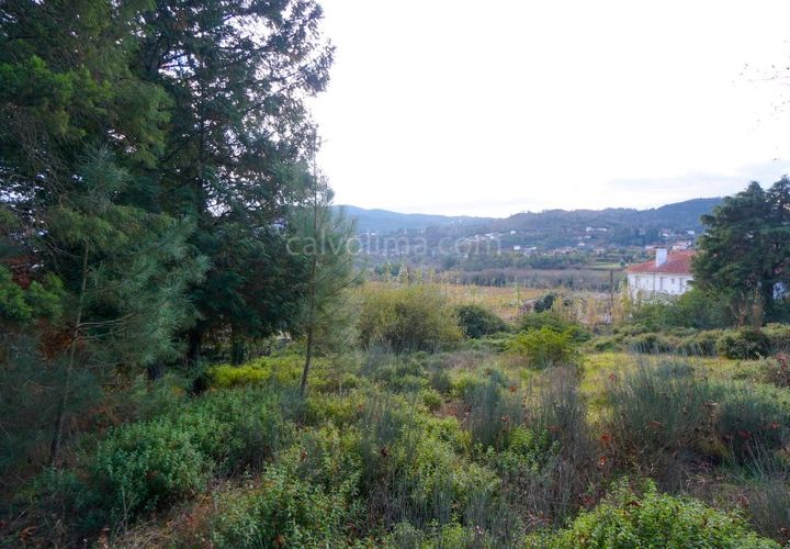 Terra a Ceivaes e Badim, Viana do Castelo, Ceivaes e Badim - € 18.000 | Ref: 3761 - foto 1