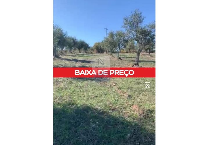Helårsgrund i Nisa, Portalegre, Nisa - € 60.000 | Ref: ID 01001067-11 - foto 1