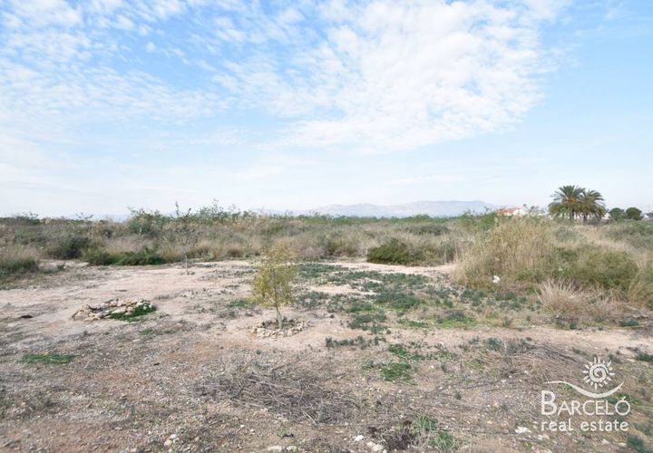 Grond in Catral, Alicante, Catral - € 125.000 | Ref: 1811 - foto 1