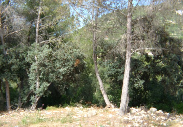 Terra a Alcalali, Alicante, Alcalali - € 120.000 | Ref: 00168 - foto 1
