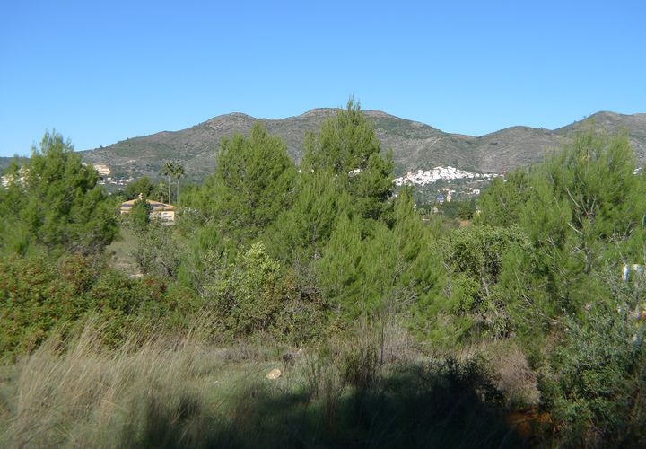 Helårsgrund i Jalon, Alicante, Jalon - € 180.000 | Ref: 001045PGI - foto 1