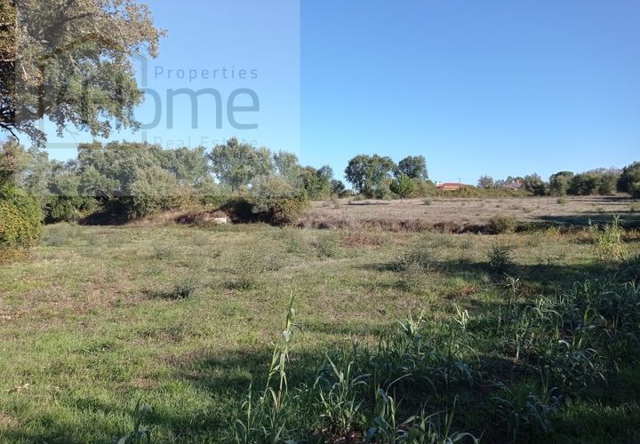 Helårsgrund i Tomar, Santarem, Tomar - € 16.500 | Ref: P4HSÒL_102 - foto 1