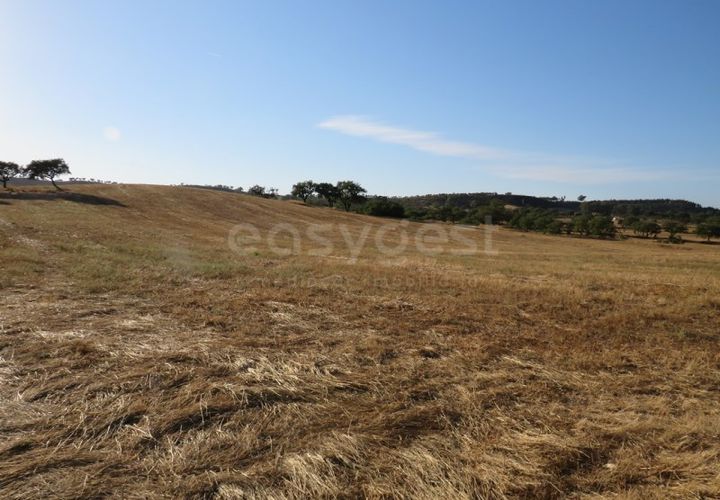 Helårsgrund i Ourique, Beja, Ourique - € 79.000 | Ref: BJ86194 - foto 1