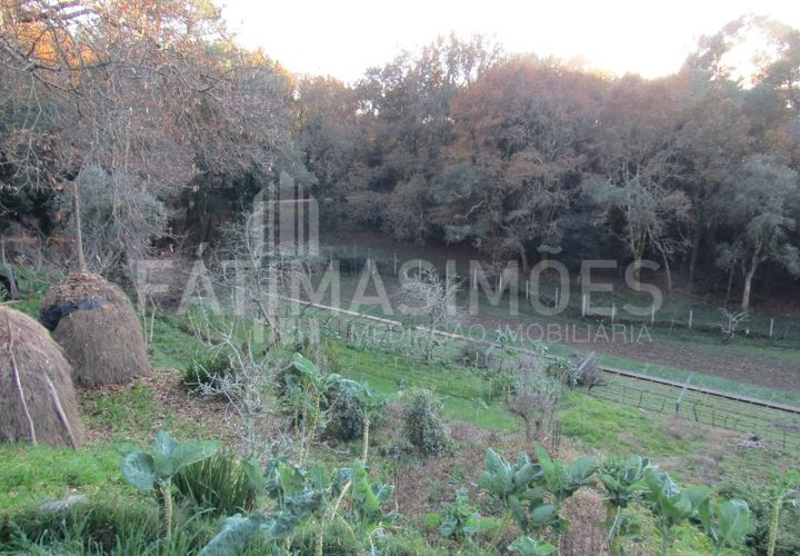 Helårsgrund i Caminha, Viana do Castelo, Caminha - € 70.000 | Ref: 877 - foto 1