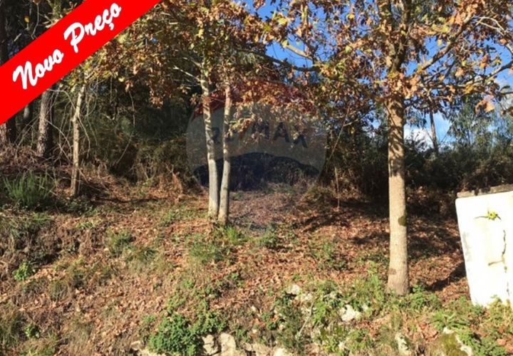 Helårsgrund i Arcos de Valdevez, Viana do Castelo, Arcos de Valdevez - € 9.000 | Ref: 126371008-10 - foto 1