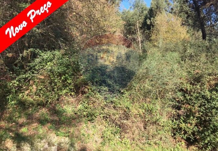 Helårsgrund i Arcos de Valdevez, Viana do Castelo, Arcos de Valdevez - € 8.500 | Ref: 126371008-12 - foto 1