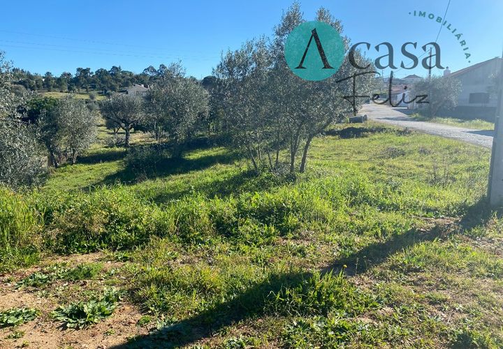 Helårsgrund i Tomar, Santarem, Tomar - € 35.000 | Ref: A052022 - foto 1