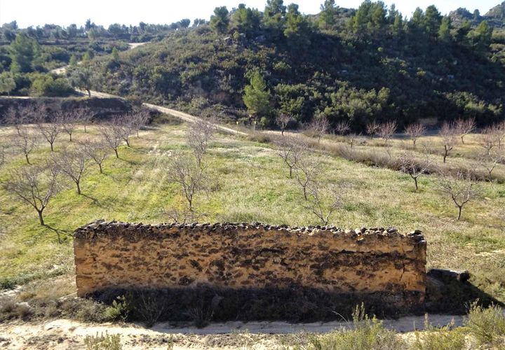 Finca i Maella, Zaragoza, Maella - € 27.500 | Ref: 0777 - foto 1