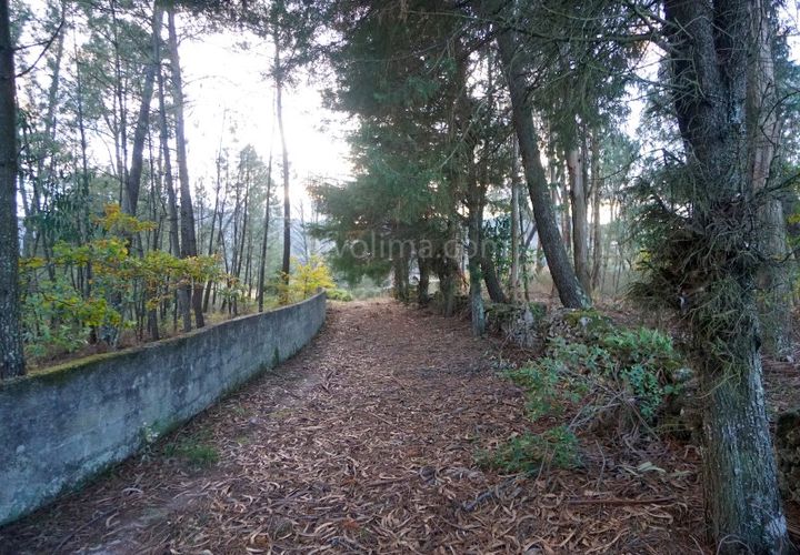 Helårsgrund i Ceivaes e Badim, Viana do Castelo, Ceivaes e Badim - € 23.000 | Ref: 3762 - foto 1