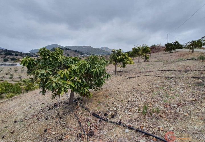 Finca i Itrabo, Granada, Itrabo - € 266.000 | Ref: 1407 - foto 1