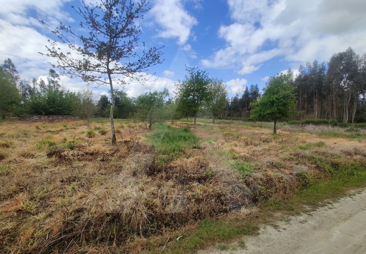 Helårsgrund i Aveiro, Aveiro, Aveiro - € 15.000 | Ref: 1011259/21 GL - foto 1