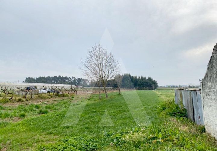 Helårsgrund i Aveiro, Aveiro, Aveiro - € 87.500 | Ref: 1011388/22 GL - foto 1