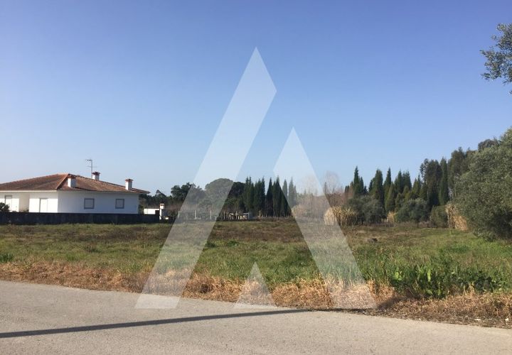 Helårsgrund i Cantanhede, Coimbra, Cantanhede - € 55.000 | Ref: 1050835/22 OB - foto 1