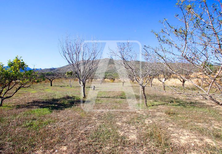 Helårsgrund i Benissa, Alicante, Benissa - € 170.000 | Ref: PBS0019 - foto 1