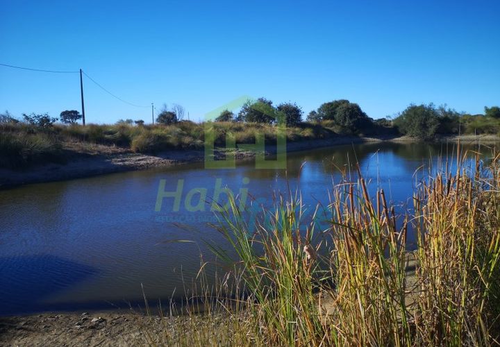 Landejendom i Arraiolos, Evora, Arraiolos - € 1.900.000 | Ref: 938 - foto 1