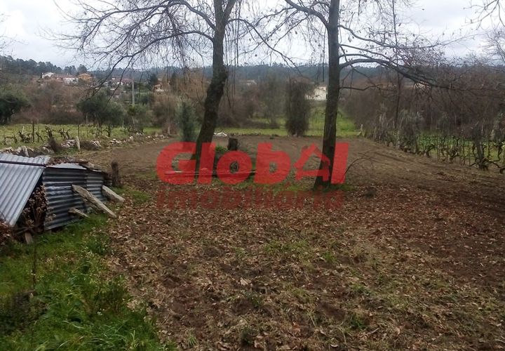 Helårsgrund i Viseu, Viseu, Viseu - € 40.000 | Ref: 189222074 - foto 1