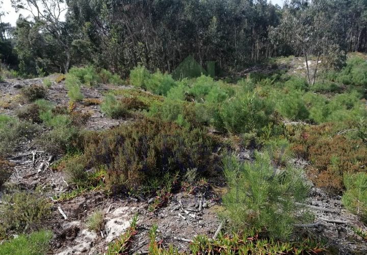 Helårsgrund i Obidos, Leiria, Obidos - € 650.000 | Ref: GS.936/2022 - foto 1