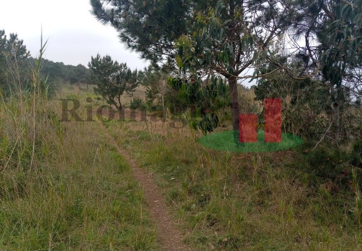 Helårsgrund i Santo Onofre e Serra do Bouro, Leiria, Santo Onofre e Serra do Bouro - € 42.500 | Ref: 145.22 - foto 1