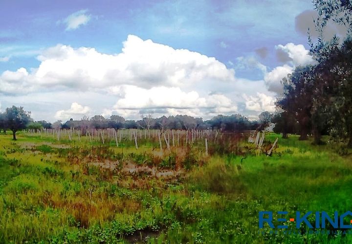 Helårsgrund i Matino, Lecce, Matino - € 5.000 | Ref: TA81 - foto 1