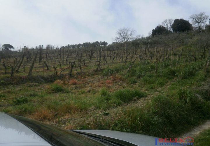 Helårsgrund i Rosignano Marittimo, Livorno, Rosignano Marittimo - € 120.000 | Ref: F0237 - foto 1