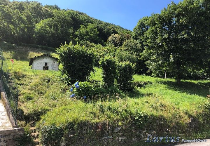 Terra a Canzo, Como, Canzo - € 105.000 | Ref: Canz45 - foto 1