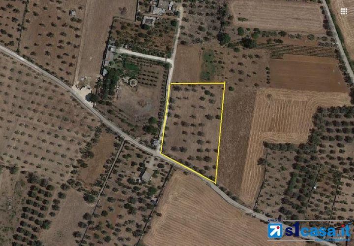Terra a Galatone, Lecce, Galatone - € 25.000 | Ref: UEG-667 - foto 1
