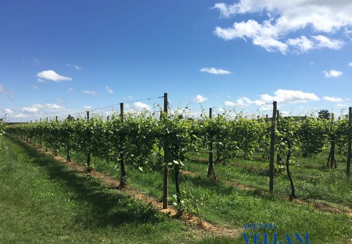 Villa i Carpi, Modena, Carpi - € 4.000.000 | Ref: BQZ-522 - foto 1
