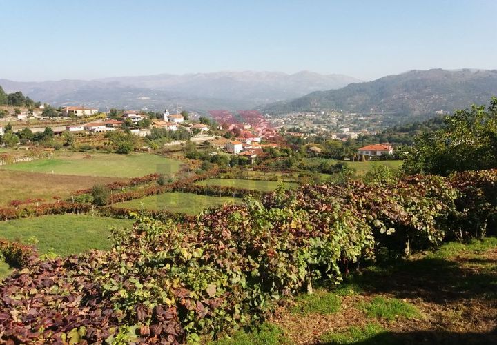 Helårsgrund i Arcos de Valdevez, Viana do Castelo, Arcos de Valdevez - € 32.000 | Ref: I-1467-MP-1018 - foto 1