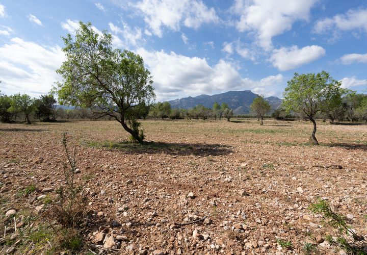 Finca i Roquetes, Tarragona, Roquetes - € 9.000 | Ref: 661 - foto 1