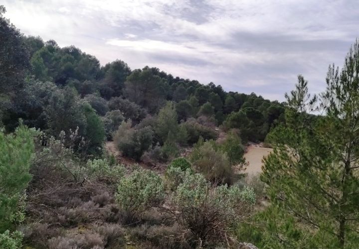 Finca i Bocairent, Valencia, Bocairent - € 950.000 | Ref: 2838 - foto 1
