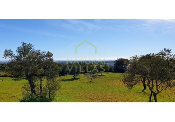 Helårsgrund i Estoi, Faro, Estoi - € 200.000 | Ref: FVT-002_VEND - foto 1