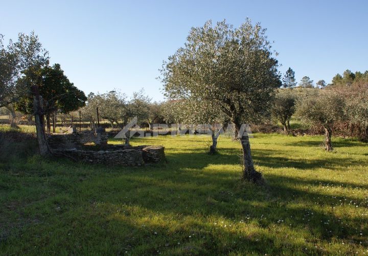 Helårsgrund i Castelo Branco, Castelo Branco, Castelo Branco - € 8.000 | Ref: PP3857 - foto 1