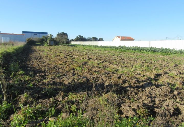 Grond in Monte Real, Leiria, Monte Real - € 70.000 | Ref: mg1741-4 - foto 1