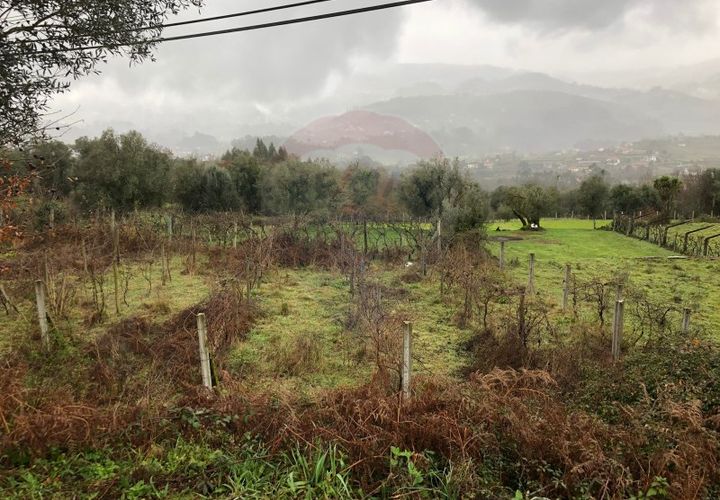 Helårsgrund i Amares, Braga, Amares - € 19.000 | Ref: 126371012-193 - foto 1