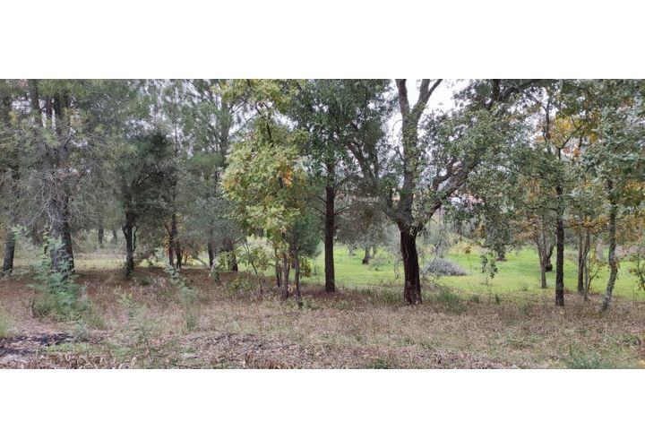 Terra a A do Bispo, Castelo Branco, A do Bispo - € 23.000 | Ref: SÒL_136 - foto 1