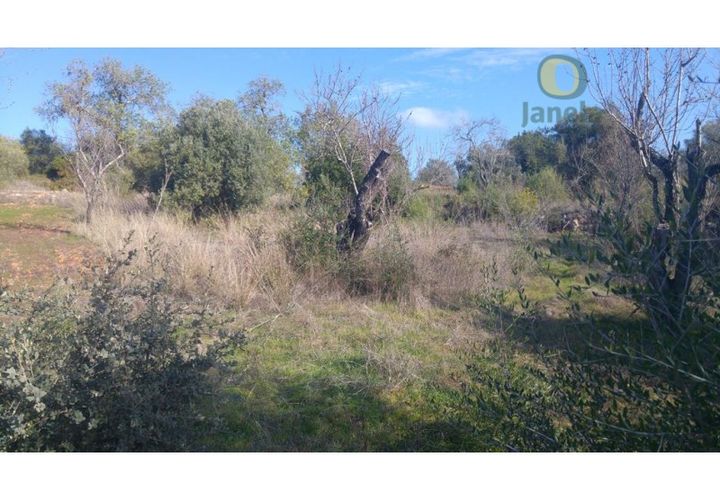 Helårsgrund i Alte, Faro, Alte - € 26.000 | Ref: TR12752 - foto 1