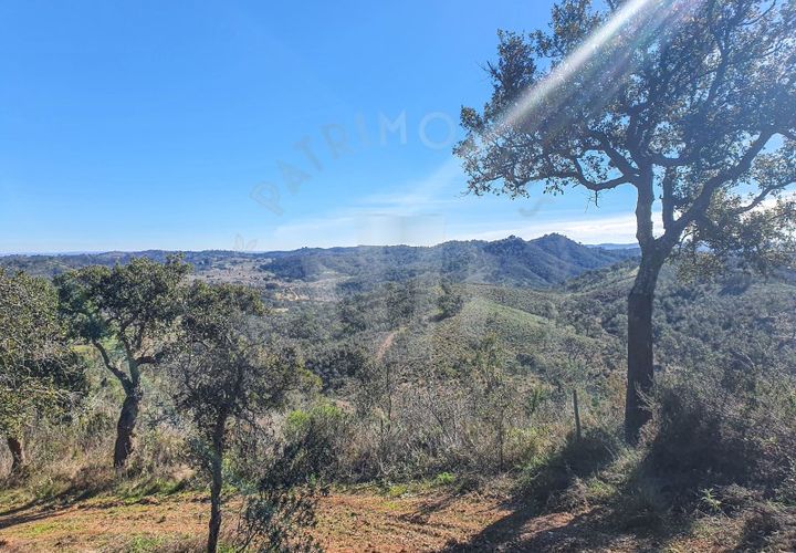 Farm i Colos, Beja, Colos - € 700.000 | Ref: PT03Q-0034 - foto 1