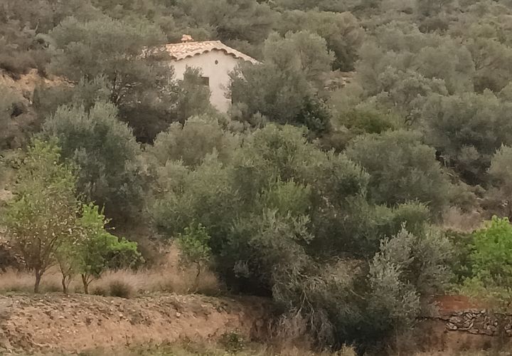 Farm i Mora La Nova, Tarragona, Mora La Nova - € 75.000 | Ref: 767 Green Acres - foto 1