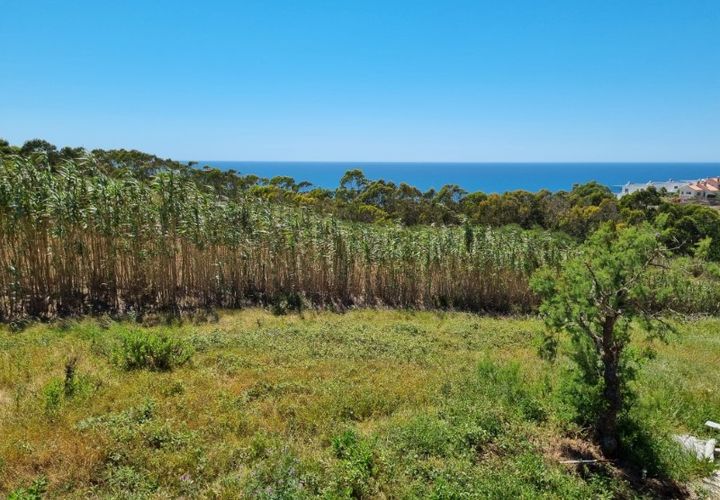 Helårsgrund i Mafra, Lisbon, Mafra - € 235.000 | Ref: BL739 - foto 1