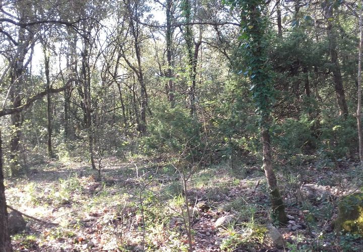 Terra a Roquedur, Gard, Roquedur - € 29.000 | Ref: 432-03 - foto 1