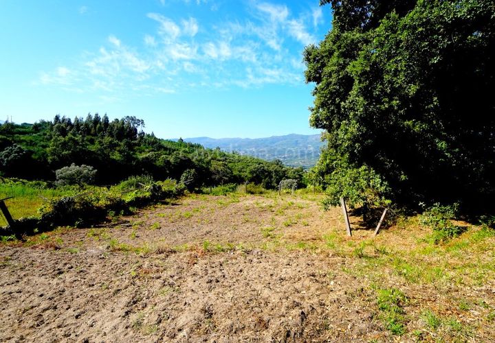 Helårsgrund i Ceivaes e Badim, Viana do Castelo, Ceivaes e Badim - € 35.000 | Ref: 3743 - foto 1